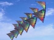 Sweet, Light Hearted Kites Dance Thrill
