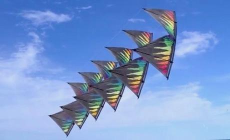 Sweet, Light Hearted Kites dance and thrill