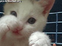 Bloody Predictions: Week 9