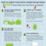 Hotel Bed Bugs