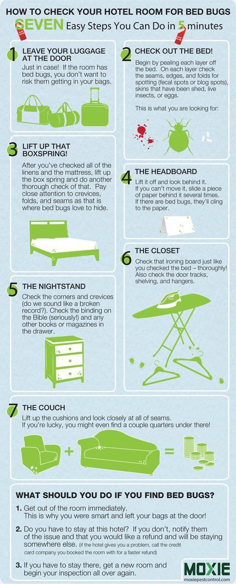 Hotel Bed Bugs Infographic