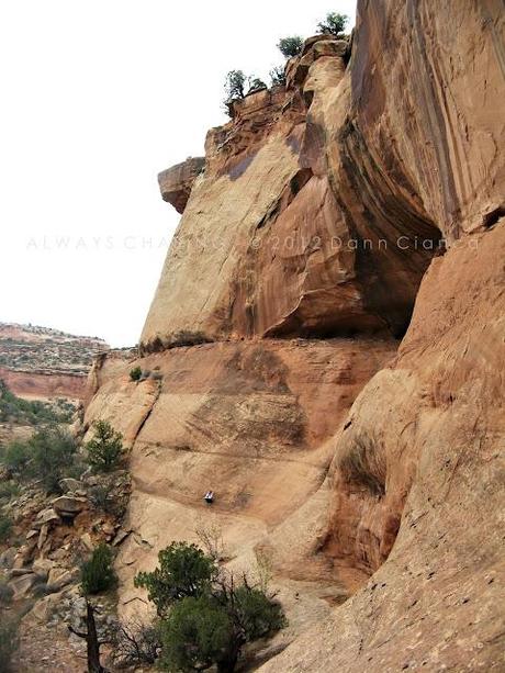 2012 - April 2nd - East Fork Pollock Canyon, McInnis Canyons National Conservation Area/Black Ridge Canyons Wilderness