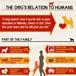 Dog's Relation To Humans