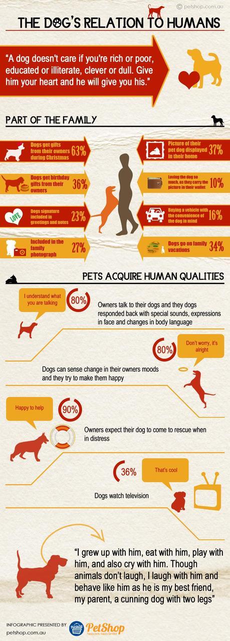 Dog's Relation To Humans Infographic