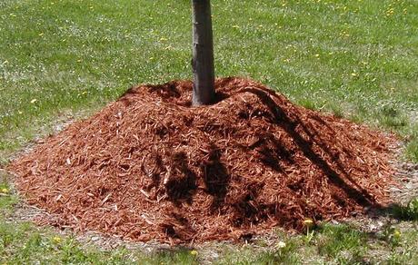 Bad Mulch?