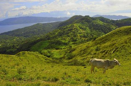 An Easy Breezy Trek in Gulugod Baboy