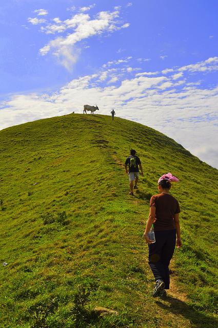 An Easy Breezy Trek in Gulugod Baboy