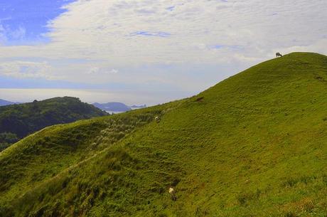 An Easy Breezy Trek in Gulugod Baboy