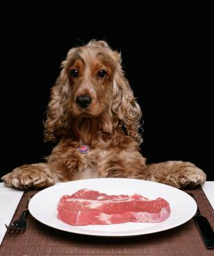 Raw food diets are becoming more popular, especially with dogs and cats!: image via http://www.dog-obedience-training-review.com/