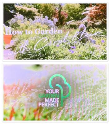 Are you Team Your Garden Made Perfect or Team How to Garden with Carol Klein?
