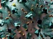 Coronavirus Prevention Tips- Detailed Discussion