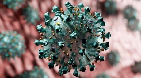 Coronavirus Prevention Tips- A Detailed Discussion