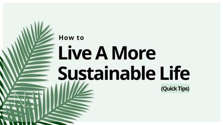 (A Quick Guide) to Live a More Sustainable Life