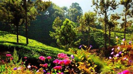 19 Offbeat Destinations Near Delhi No One Talks About In 2021