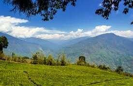 10 Beautiful Hill Stations In Assam To Rejuvenate Your Senses In 2021!