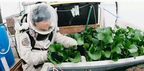 Hydroponics Farms Hydroponics Farms