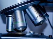 Effective Guidelines Solve Biology Research Paper