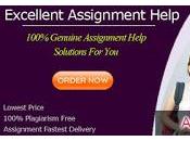 Want Hire Assignment Writing Help USA? Don’t Worry Your Service!