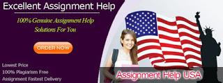 Want To Hire A USA Assignment Writing Help In The USA? Don’t Worry We Are At Your Service!