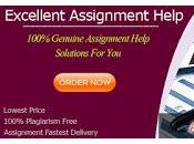 Simply Take Auditing Assignment Help From Experts Professionals