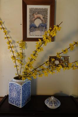 Forsythia Brightens Our World