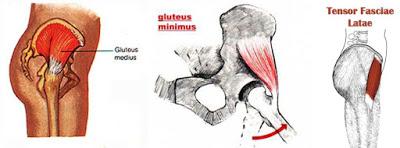 Meet Your Hard-Working (And Possibly Under-Appreciated) Outer Hip Muscles