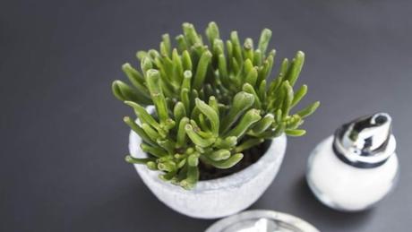 9 Tips To Follow For Your Home Decor