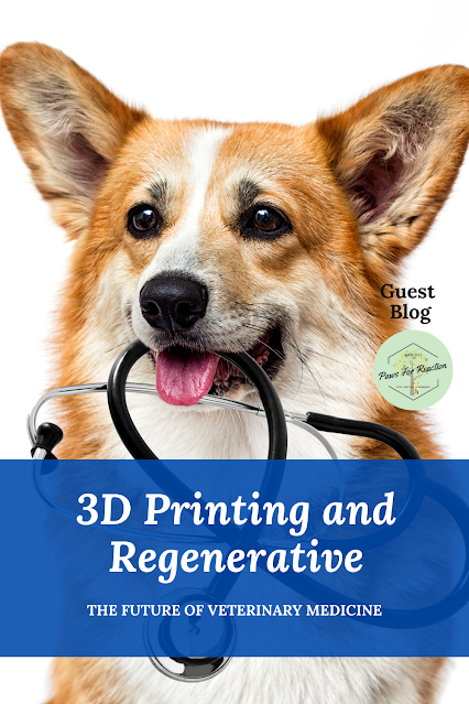 How 3D printing and regenerative medicine work & the impact on veterinary medicine