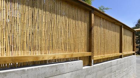 Breaking Down Exterior Basics – Most Popular House Fencing Options