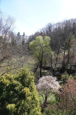 A Beautiful Day
