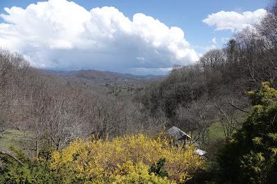 A Beautiful Day