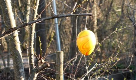 Spring Morning Light