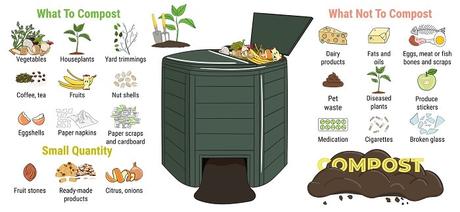 6 Benefits of Having a Compost