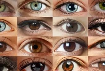 Scientists Found a Bunch of New Eye Color Genes - Paperblog