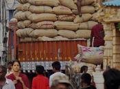 Workmen Compensation Claim Decision Employment Relationship