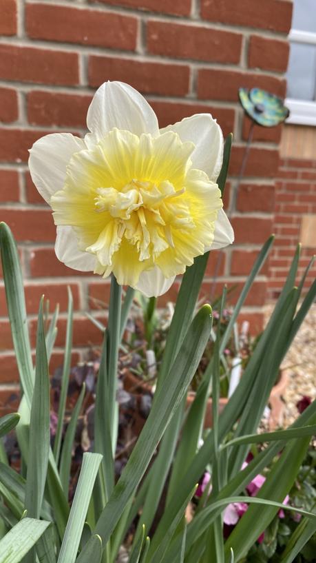 Six on Saturday 20/03/2021