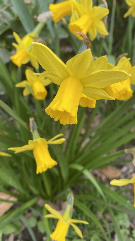 Six on Saturday 20/03/2021