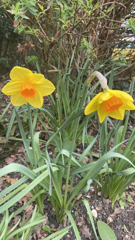 Six on Saturday 20/03/2021