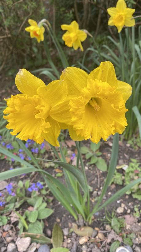 Six on Saturday 20/03/2021