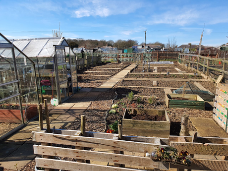 Day 56 - It is time to celebrate - Spring Day 56 - It is time to celebrate - Spring