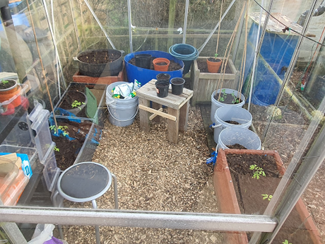 Day 56 - It is time to celebrate - Spring Day 56 - It is time to celebrate - Spring