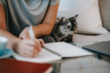 Top reasons why university essays are so hard to write Top reasons why university essays are so hard to write