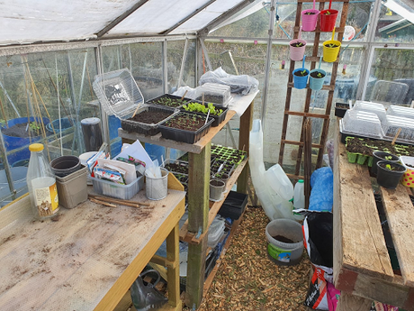 Day 57 - Allotmenteering is much like playing golf.