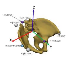 What does psis stand for? V3d Composite Pelvis Visual3d Wiki Documentation