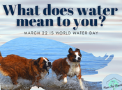 March 22nd World Water Day: What Does Mean You?