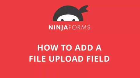 Ninja Forms - File Upload Addon