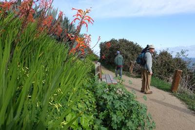 BIRDS, BEACH AND SUN: A Spring Weekend in La Jolla, CA, by Caroline Arnold at The Intrepid Tourist