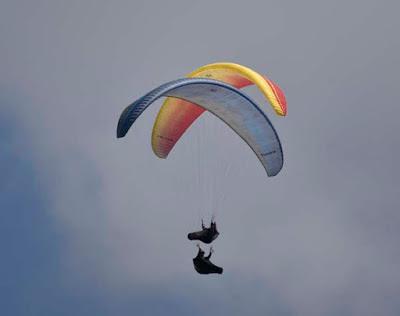 BIRDS, BEACH AND SUN: A Spring Weekend in La Jolla, CA, by Caroline Arnold at The Intrepid Tourist