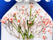 #SmallTownSecrets @writeralys