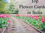 Flower Gardens India